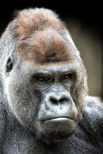 774ce9ec0d184250047bdc073a57022f