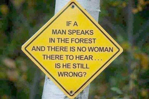 if a man speaks in a forest