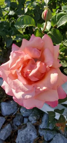 17:54:52 GMT-0700 (PDT)