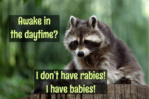 09:12:57 GMT-0400 (EDT)