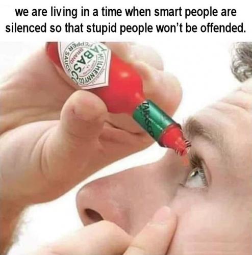 when smart people are silenced