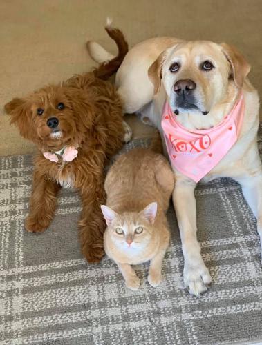 89808524_3085692328108153_7976524163034644480_n