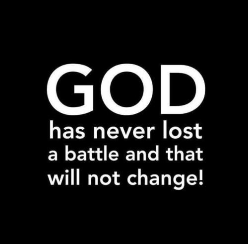 17904166_1412248992172349_7557355277206472231_n