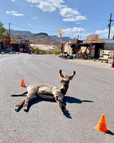 86461631_194325075280750_125286605500973056_n