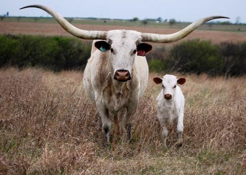 170077852_4324030114293449_8537883662058384040_n