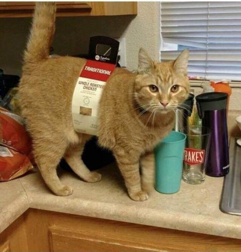 17:52:22 GMT-0500 (CDT)