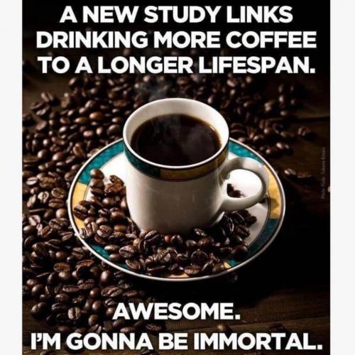 38480022_677960182578352_4552200248931385344_o