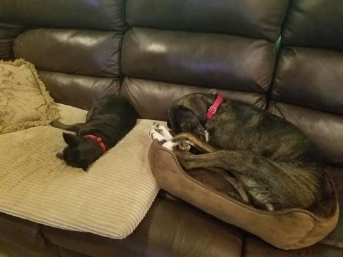 14:07:42 GMT-0400 (EDT)