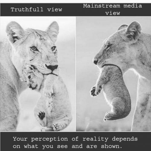 22:19:55 GMT-0700 (MST)