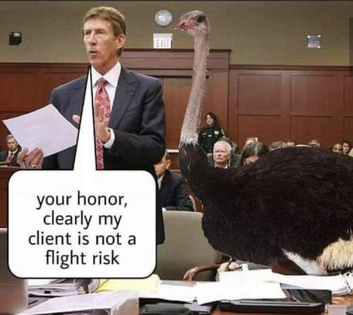 06:09:47 GMT-0400 (EDT)