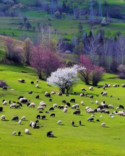 163646227_1827437817422422_2835162983557923243_n