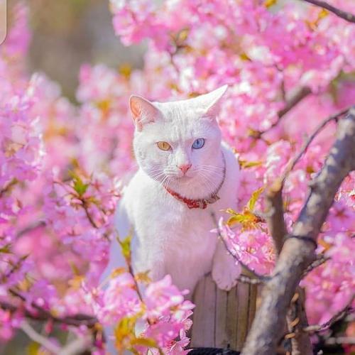 16:43:10 GMT+0100 (PDT)