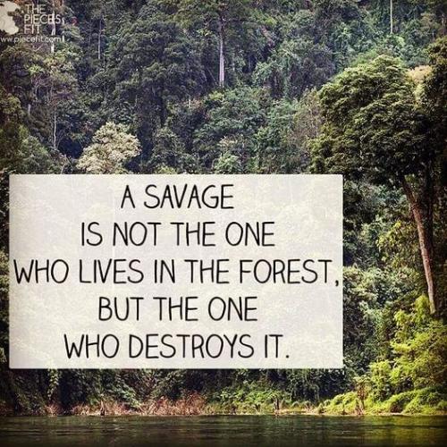 Savages_Destroy_Forests