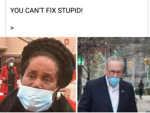 92490969_10219418535308660_2759404706861154304_n