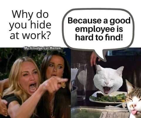 23:00:01 GMT-0700 (PDT)