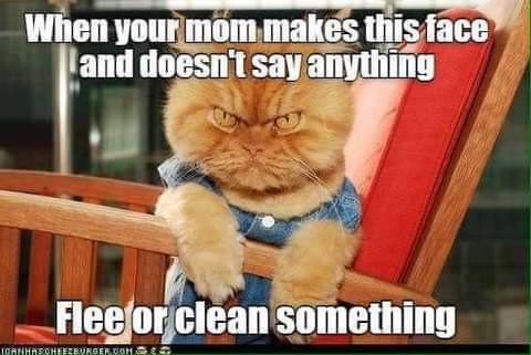 23:04:56 GMT-0700 (PDT)