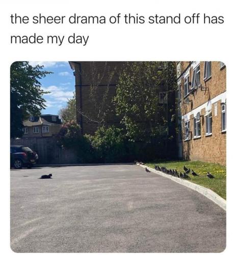 15:41:52 GMT-0500 (CDT)