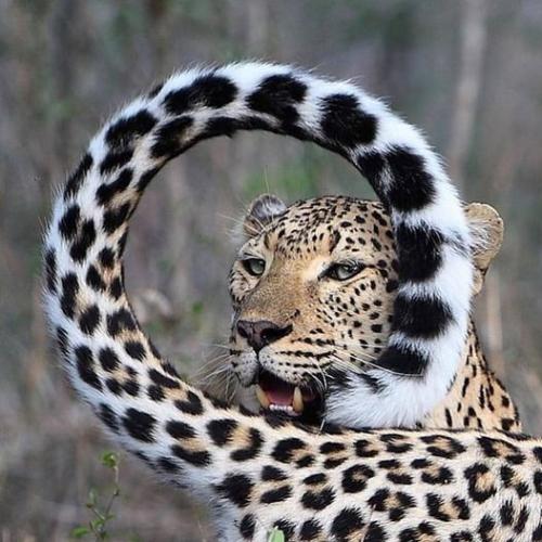 168694026_1836721639827373_4958895209420561827_n