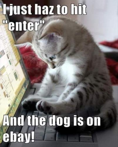 14:42:22 GMT-0700 (PDT)