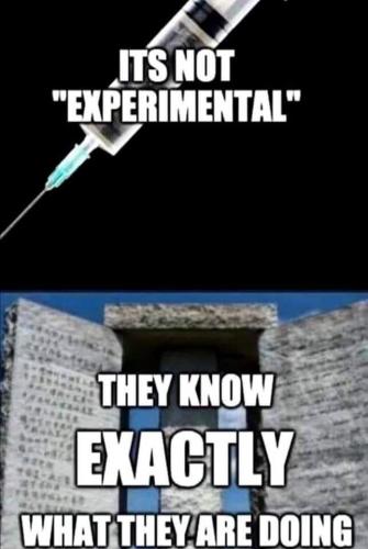 11:31:25 GMT-0700 (MST)