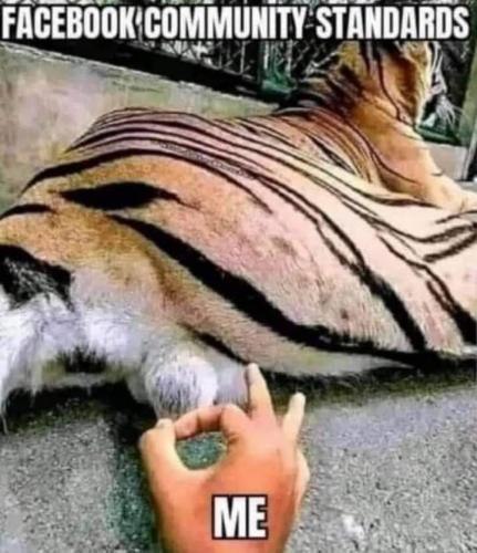 FB_IMG_1619665703436