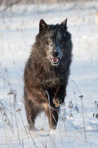 15232180_10205817154068221_8759373409898794771_n