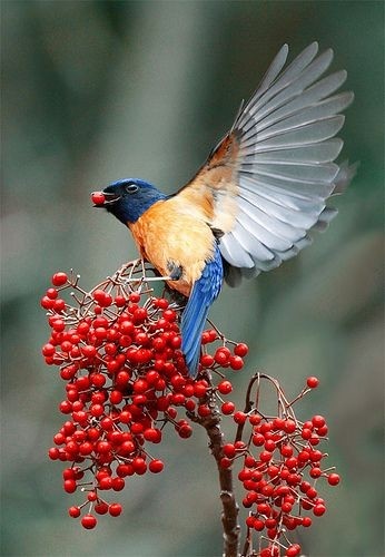 175479664_1848618678637669_5845838738612849342_n