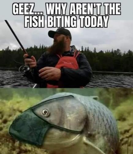 20:28:05 GMT-0700 (PDT)