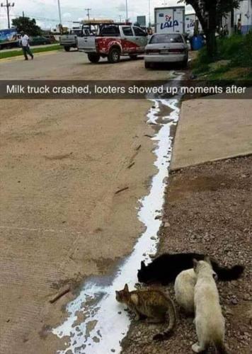 14:38:49 GMT-0500 (CDT)