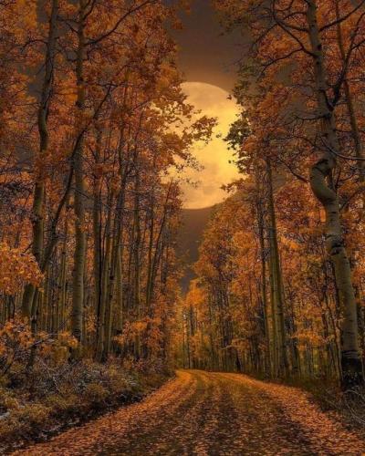 178463832_1856048391228031_6979478151816254083_n