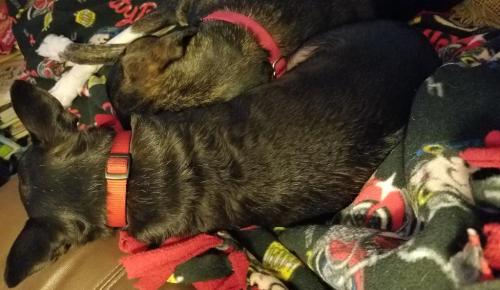 14:07:42 GMT-0400 (EDT)