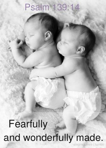 16939164_1659234841046194_220945886705145144_n