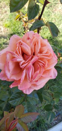 17:54:52 GMT-0700 (PDT)