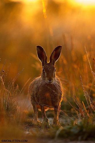 173727135_1555140881351923_8281696431030270492_n