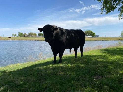 168429755_595742701352706_6709351006589099820_n