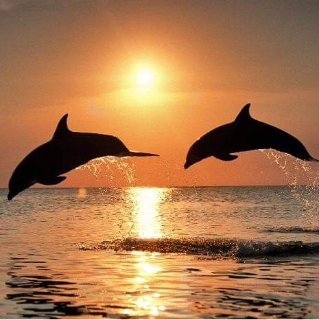 02:16:41 GMT-0500 (CDT)