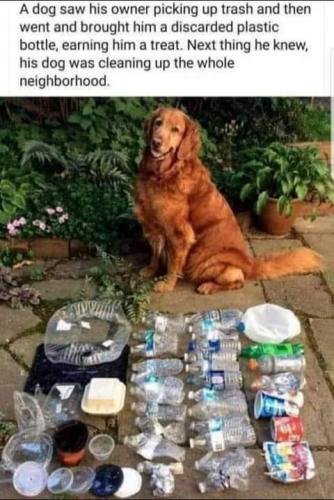 20:04:36 GMT-0700 (PDT)