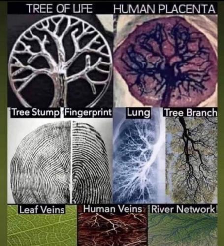 21:37:05 GMT-0700 (PDT)