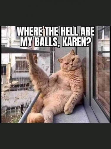 20:33:50 GMT-0400 (EDT)