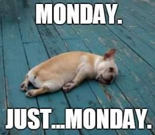 06:04:20 GMT-0400 (EDT)