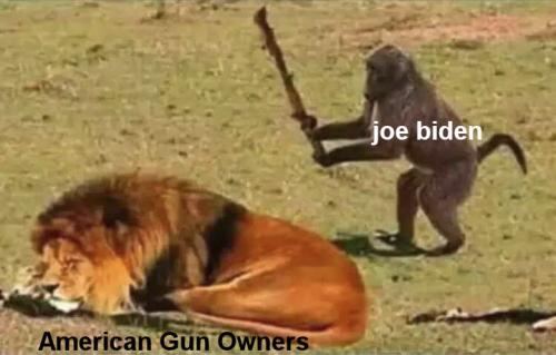 biden468
