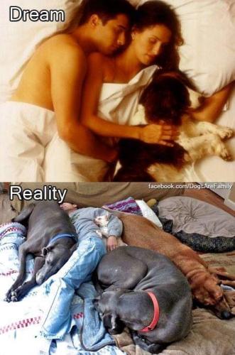 15:38:32 GMT-0500 (CDT)