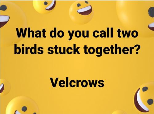 19:43:10 GMT-0400 (EDT)