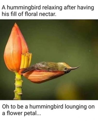 11:53:48 GMT-0700 (PDT)