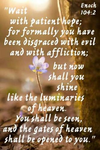 FB_IMG_1599771118707