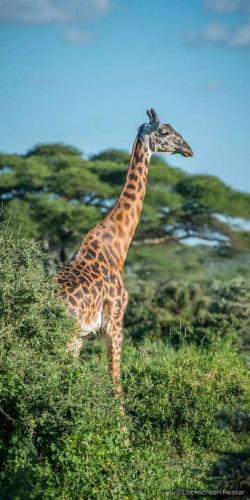 179820456_1563287493870595_6691217986667129912_n