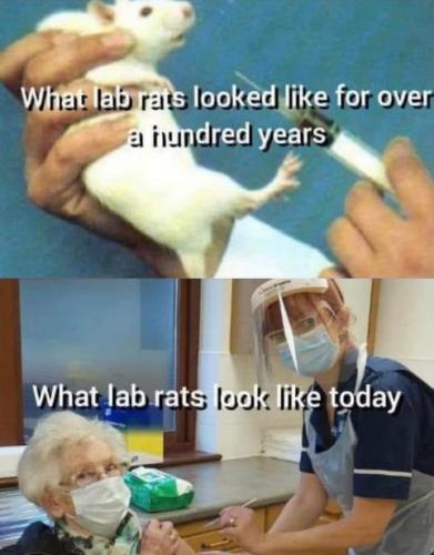 vaccine160