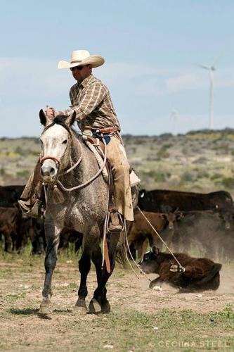 51f8093acd89af0b6d2b8b4067ead2ba