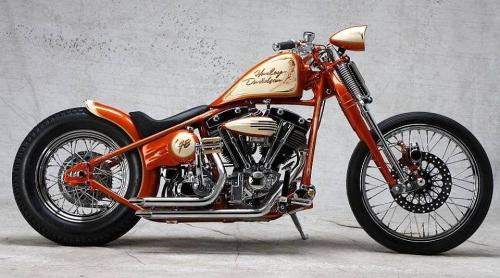 167853521_3964367203627571_2088147121588394217_n