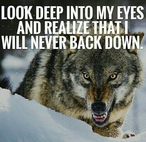 21:03:31 GMT-0500 (CDT)